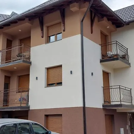 Apartment Tepavac *